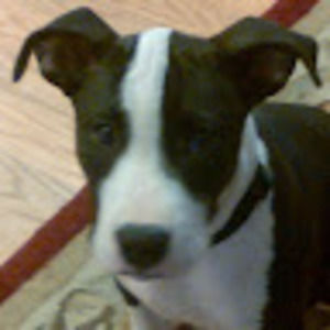 Meet your Posher, Kathi